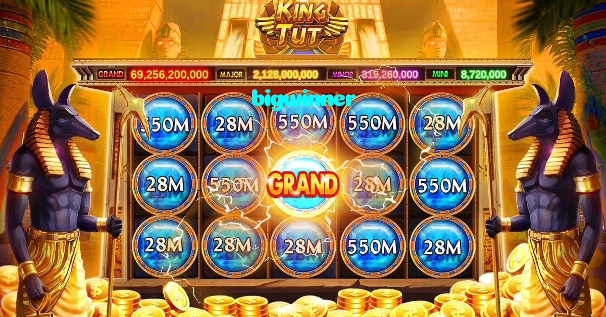 available types of bigwinner bet including pre-match live express and system bets